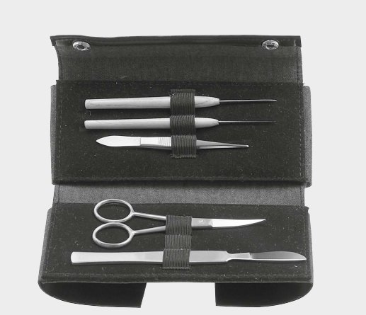 [DIN-13446-01-ss] Disección en bolsa de plástico