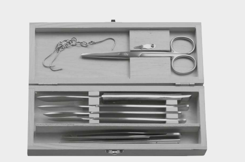 [DIN-13447-04-ss] Disección en caja de madera