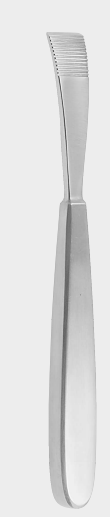 Perióstico JANSEN 16,5 cm