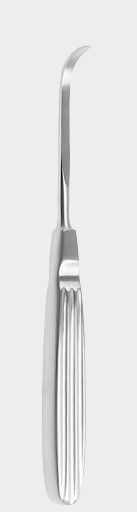 [MR\-13611-03-ss] Raspador curvo MÜHLING 4 mm 17 cm