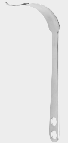 [BLE-13646-29-ss] Palanca de hueso 40 mm 29 cm