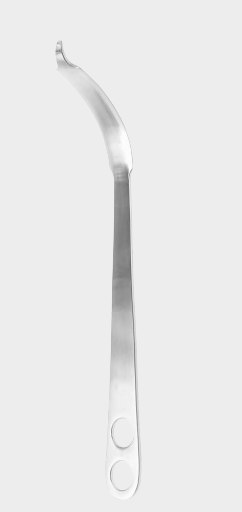 [BLE-13647-30-ss] Palanca de hueso 22 mm 30 cm