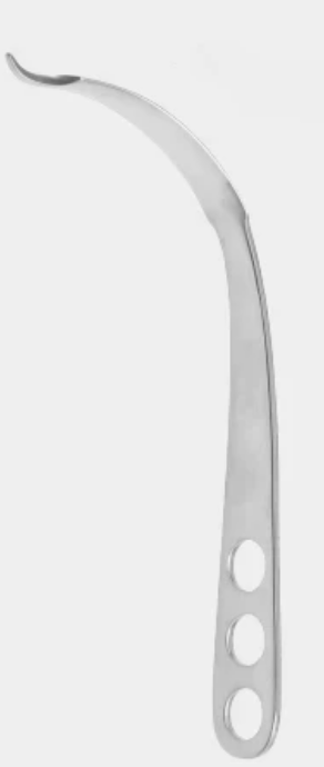 [BLE-13649-22-ss] Palanca de hueso 22 mm 24 cm 90º