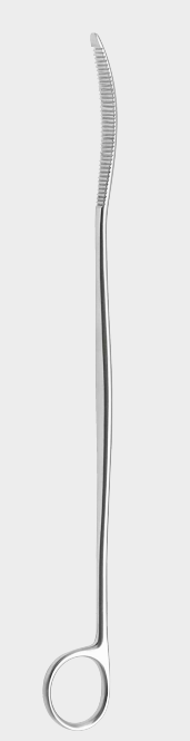 [LBG-13697-25-ss] Palanca de hueso LANE 26 cm