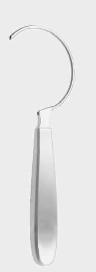 Guía de alambre DANIS 21,0 cm