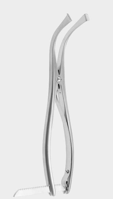 [MSQ-16044-26-ss] Esparcidor MEARY 26 cm