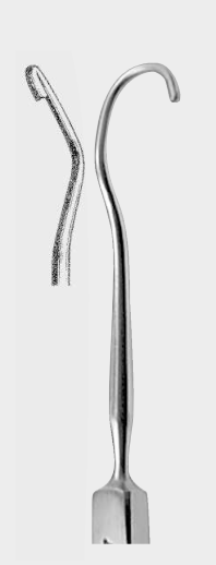 [AEX-16444-01-ss] Extracto de ARRUGA. Gancho izquierdo fig.1