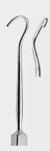 [AEX-16445-02-ss] Extracto de ARRUGA. Gancho derecho fg.2