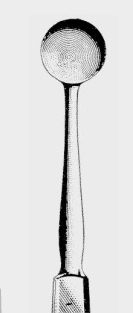[BED-16480-02-ss] Cuchara de exenteración BUNGE fig.2