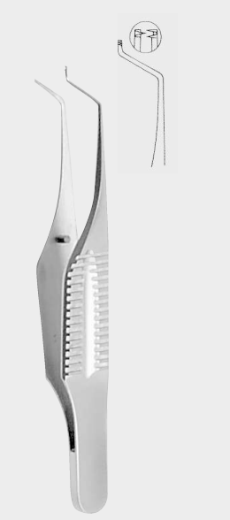 [GHF-16546-07-ss] GILL HESS ir.fcps.,diente 0,3mm