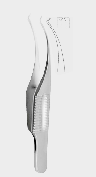 [BCP-5097-07-ss] BARRAQUÍ. Col.iris fcps.,t. 0,12mm