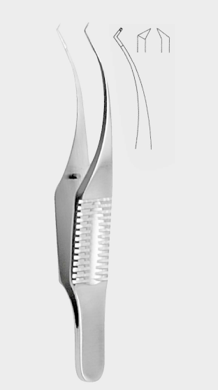 [BCP-5098-07-ss] BARRAQUÍ. Col.iris fcps.,t. 0,12mm