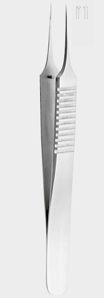 [BTG-5105-10-ss] Bonn TITAN iris fcps.no.2 1x2