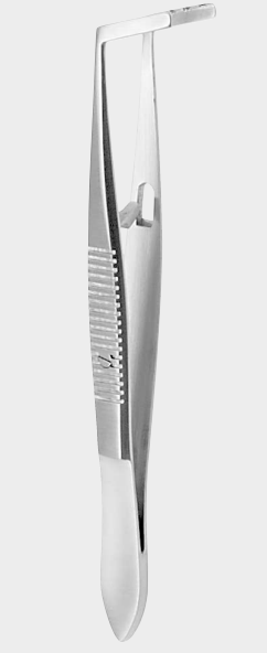 [PMD-16571-10-ss] Pinza muscular PRINCE derecha