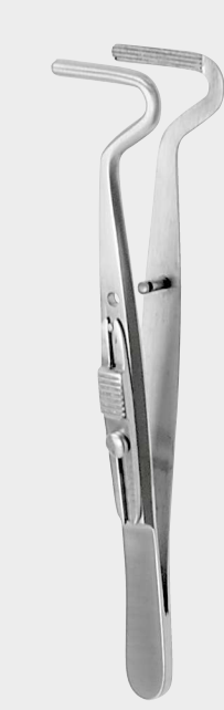 Pinza muscular BERKE, mandíbulas de 20 mm