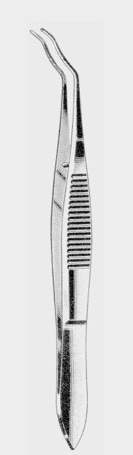 Pinzas capsulares ELSCHNIG