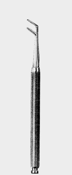 Pinza muscular BANGERTER 10 cm