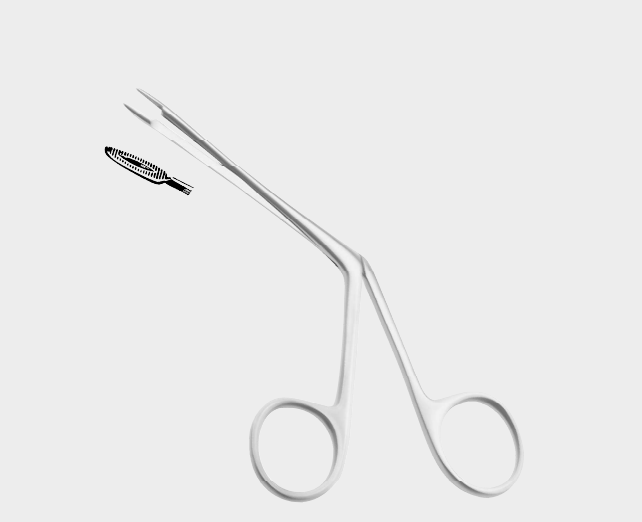 Pinzas auriculares LITTAUER de 12 cm