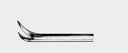 Tijeras SHEA, micr. derechas, 7,0 mm
