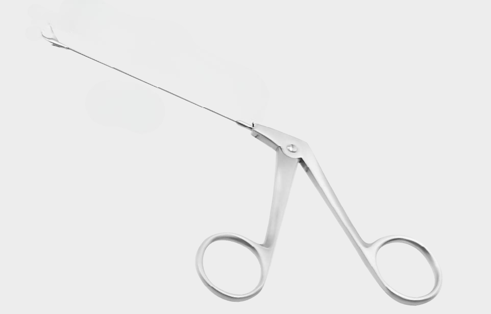 WULLST.scis.mic.mini rgt.cv.RG