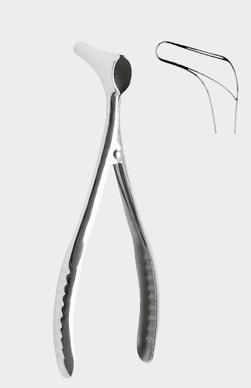[THD-17204-13-ss] TIECK HALLE espec. nasal 13,5 cm