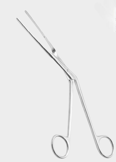 [LBM-17241-20-ss] LUBET BARBON nas.pol.fcps. 20cm
