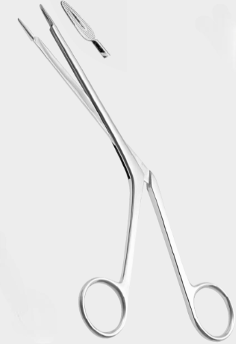 [LNA-17242-18-ss] LITTAUER nas.polypus fcps.18cm