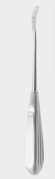 [WAU-17470-21-ss] Raspador nasal WIENER (AUFRICHT)