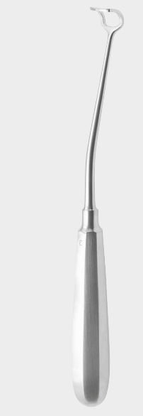 [BAH-17558-05-ss] Cureta adenoidea curva BECKMANN fig. 5