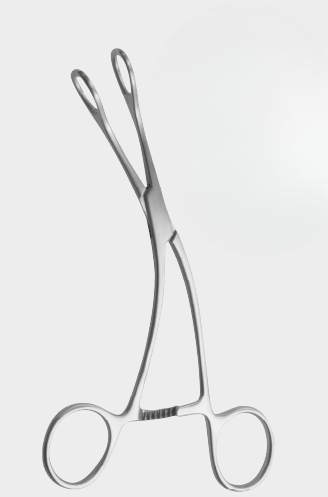 [YTO-17634-16-ss] Lengua JOVEN. fcps. 16 cm