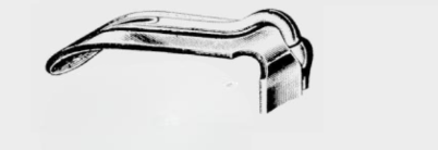 [DBG-17658-02-ss] DAVIS BOYLE desprendimiento de lengua. figura 2