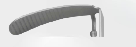 [DBG-17660-04-ss] DAVIS BOYLE desprendimiento de lengua. figura 4