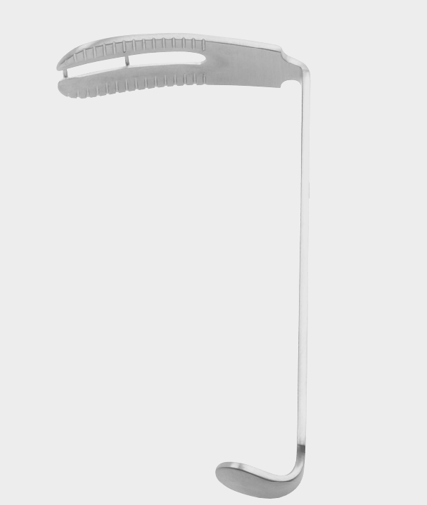 Espátula WÜRZBURG fig. 5 38x100 mm