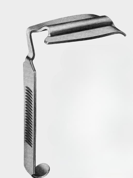 Espátula RING izquierda fig.5 38x95 mm