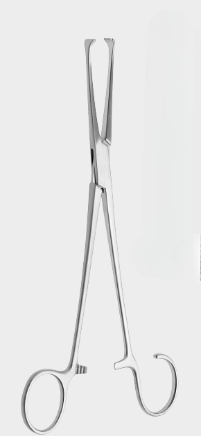 [CTN-17770-19-ss] Pinzas para amígdalas COLVER