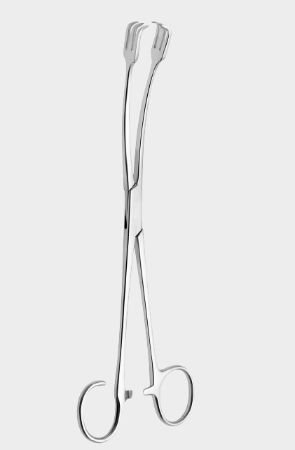 [BTL-17773-21-ss] Convulsión de amígdalas de BALLENGER. fórceps