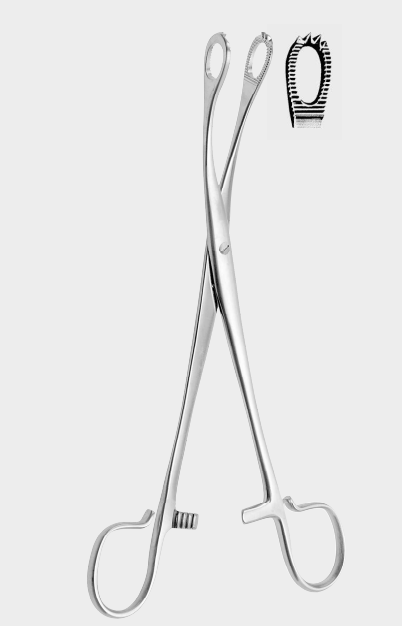 [BTM-17774-20-ss] Pinzas para amígdalas BLOHMKE