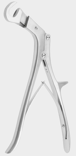 [GSK-17960-27-ss] Tijeras de costilla GIERTZ STILLE 27 cm