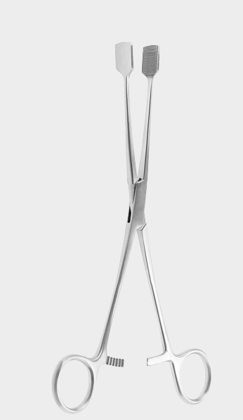 Pinza de fijación BORST 15 x 15 mm 21 cm