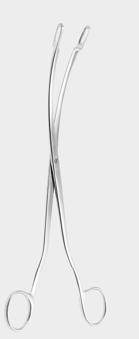 DESJARDINS fino gall st.forc. fig.1