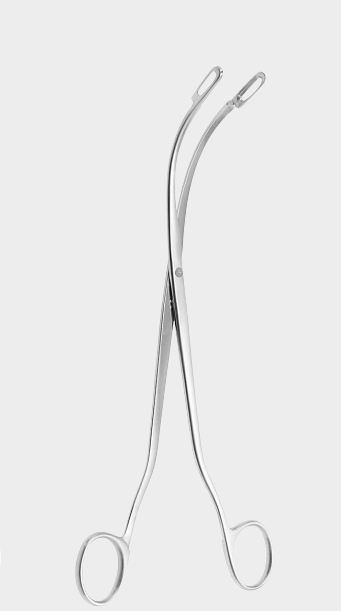DESJARDINS fino gall st.forc. fig.2
