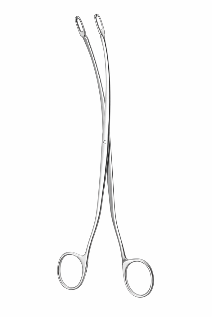 DESJARDINS hiel st.forc. fig.2