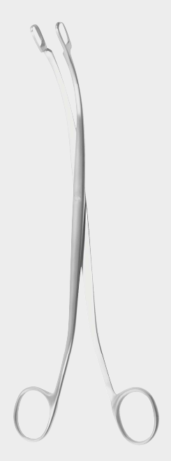DESJARDINS hiel st.forc. fig.1