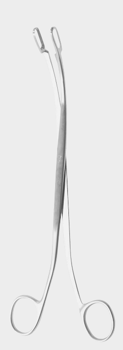 [DGA-18158-02-ss] DESJARDINS hiel st.forc. fig.2