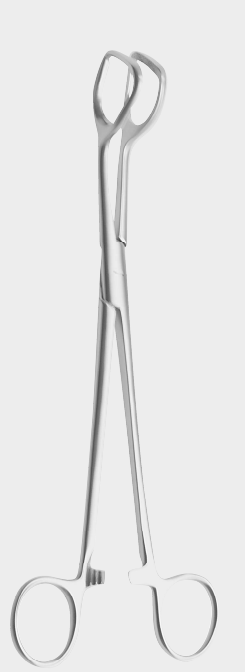 MOUAT vesícula biliar.lift.fcp. 21,5cm