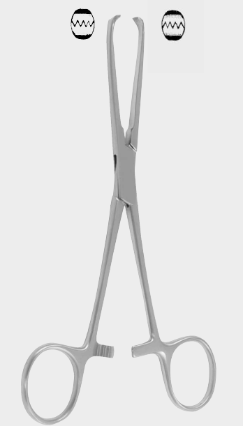 [ATI-18222-15-ss] Pinza de tejido ALLIS 15 cm 4x5 dientes