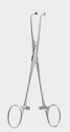 Pinzas de tejido ALLIS NIRO 15 cm 4x5 t