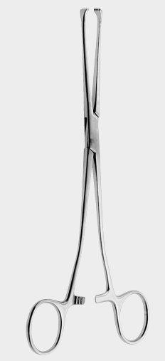 Pinza de tejido ALLIS 20 cm 5x6 dientes
