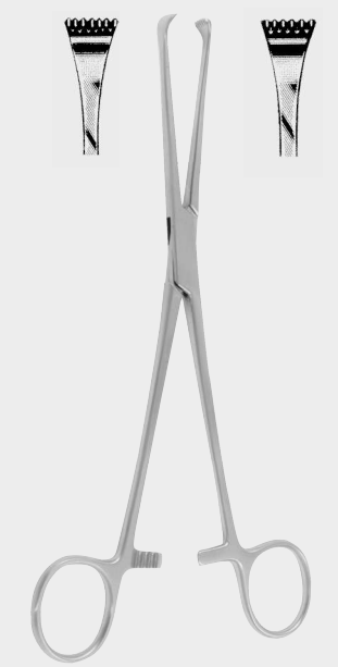 Pinzas THOMS ALLIS 6x7 t. 20 cm