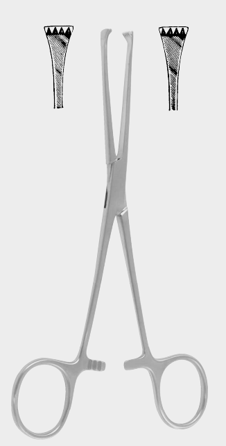[LAE-18241-16-ss] LOCKWOOD ALLIS intest.seiz.fps